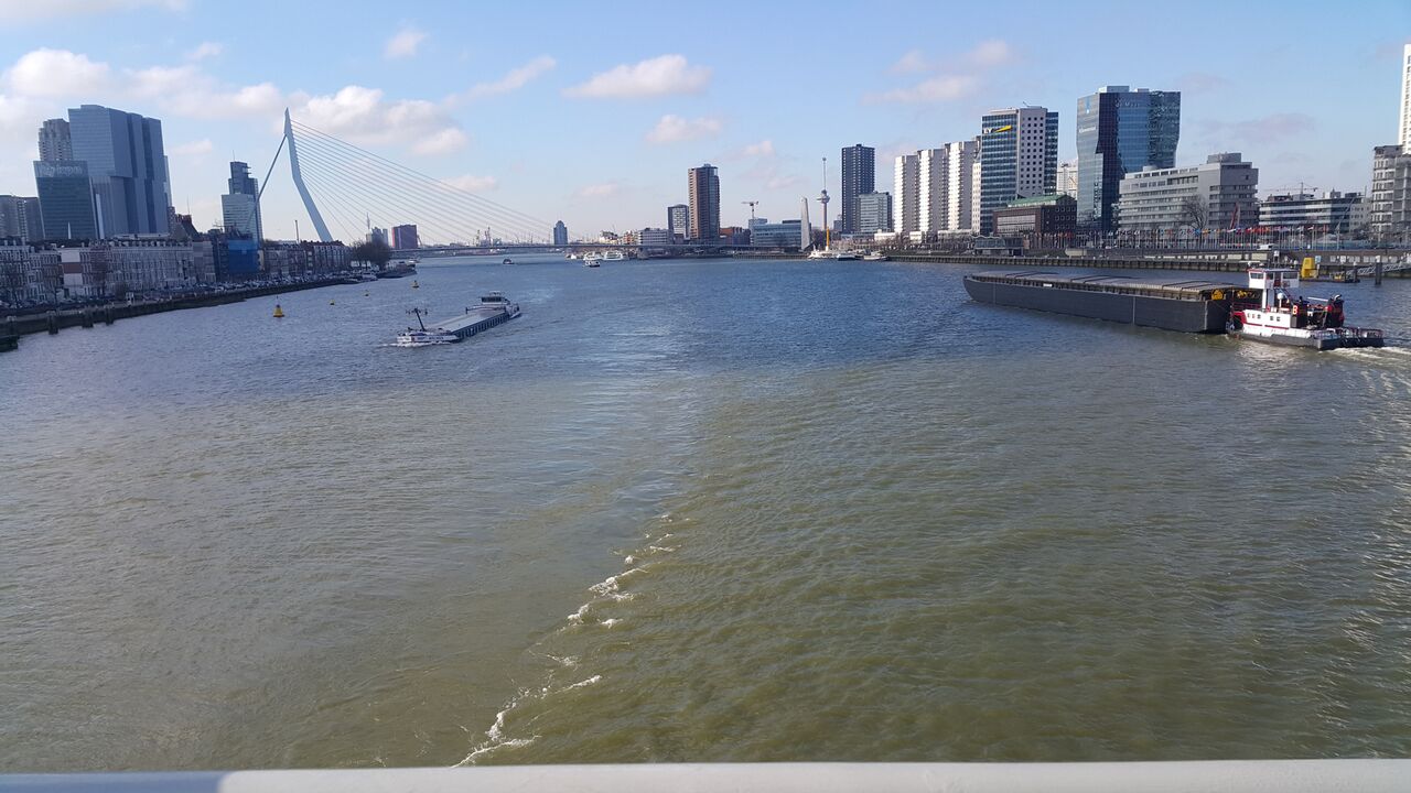 Erasmus Bridge_preview