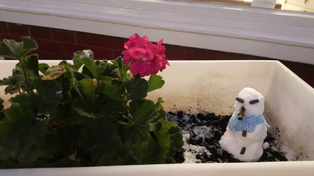 4. Retiring to Flower Bed