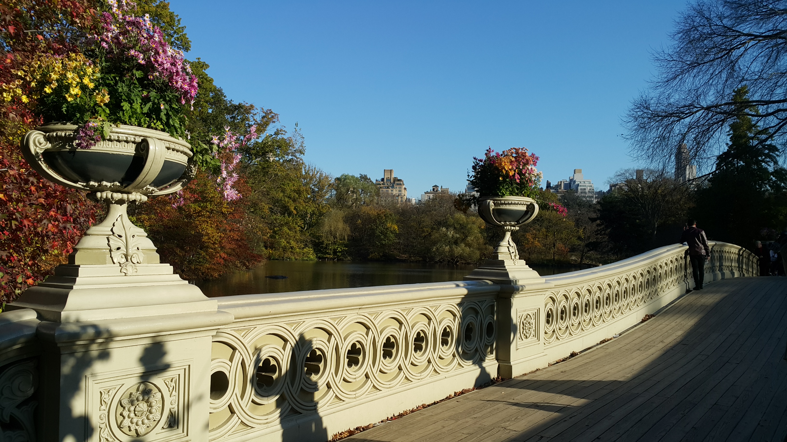 Bow Bridge, Central Park