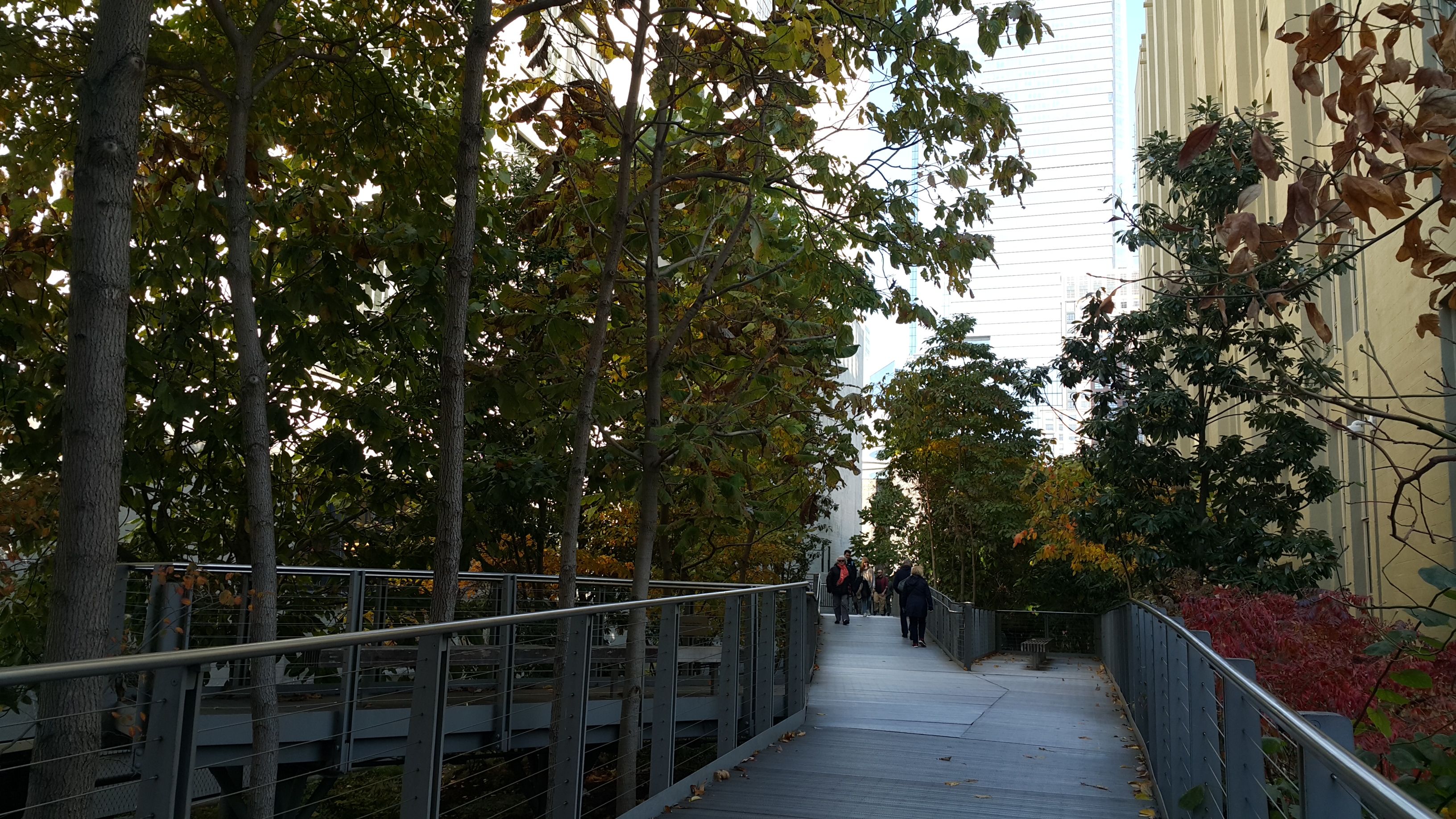 The High Line