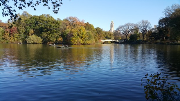 The Lake at Central Park
